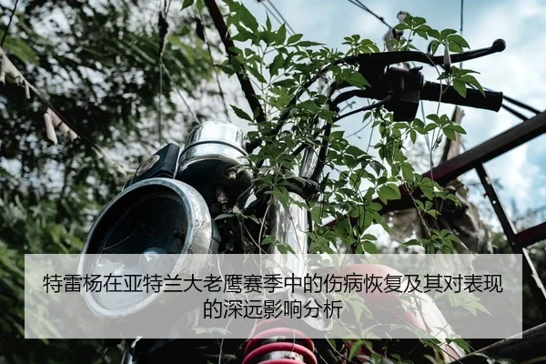 特雷杨在亚特兰大老鹰赛季中的伤病恢复及其对表现的深远影响分析